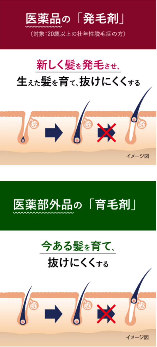 医薬品の「発毛剤」の作用。新しく髪を発毛させ、生えた髪を育て、抜けにくくする。医薬部外品の「育毛剤」の作用。今ある髪を育て、抜けにくくする。