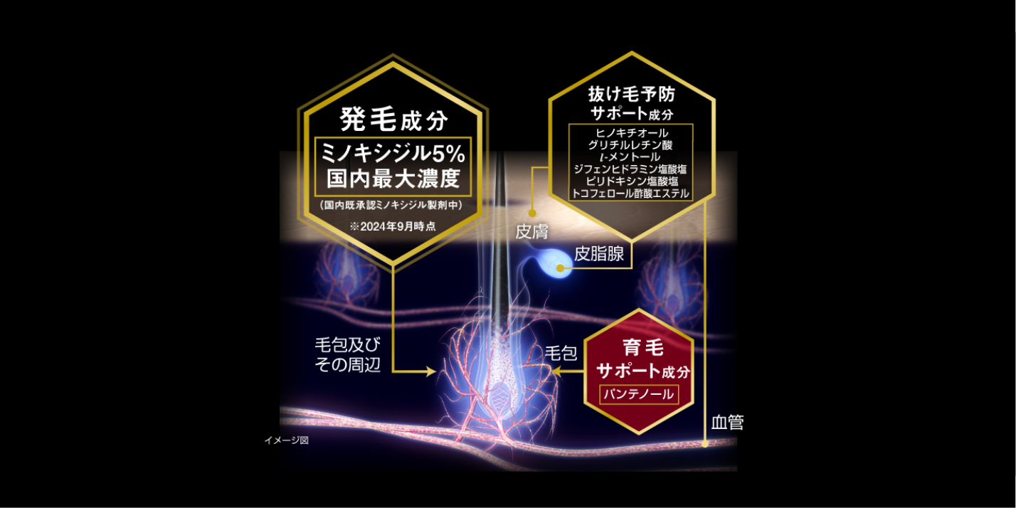 リアップX5チャージの作用イメージ図