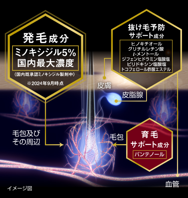 リアップX5チャージの作用イメージ図