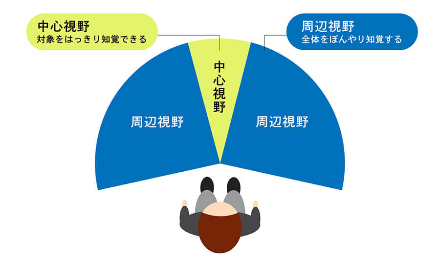 ３D酔いは「周辺視野」の情報が多かったり、 動きと映像がずれたりすると起こりやすい