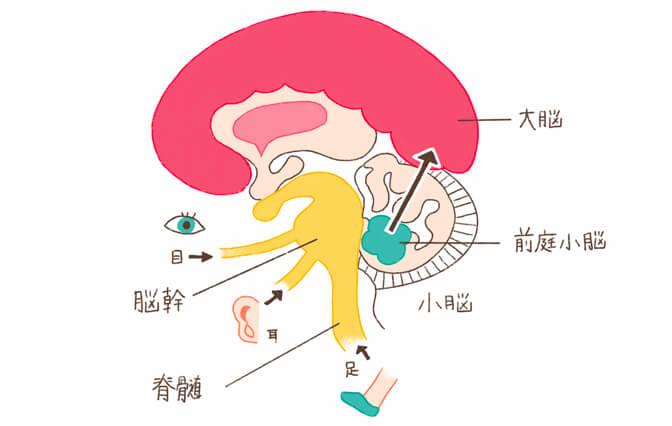 大人も酔うのは体調や環境が影響するから