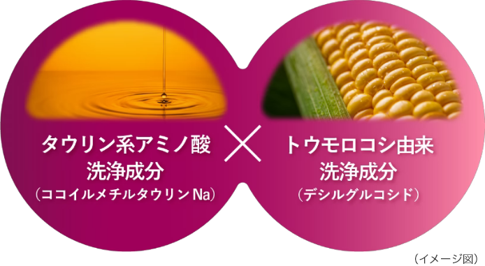 選び抜いた洗浄成分、タウリン系アミノ酸洗浄成分（ココイルメチルタウリンNa）とトウモロコシ由来洗浄成分（デシルグルコシド）のイメージ画像