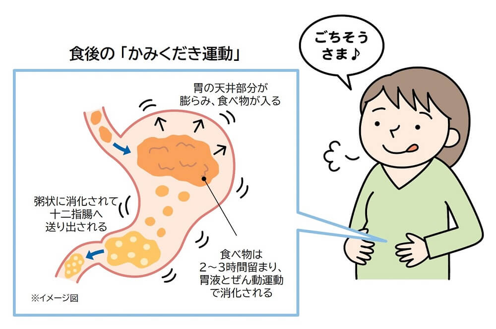 食後の「かみくだき運動」