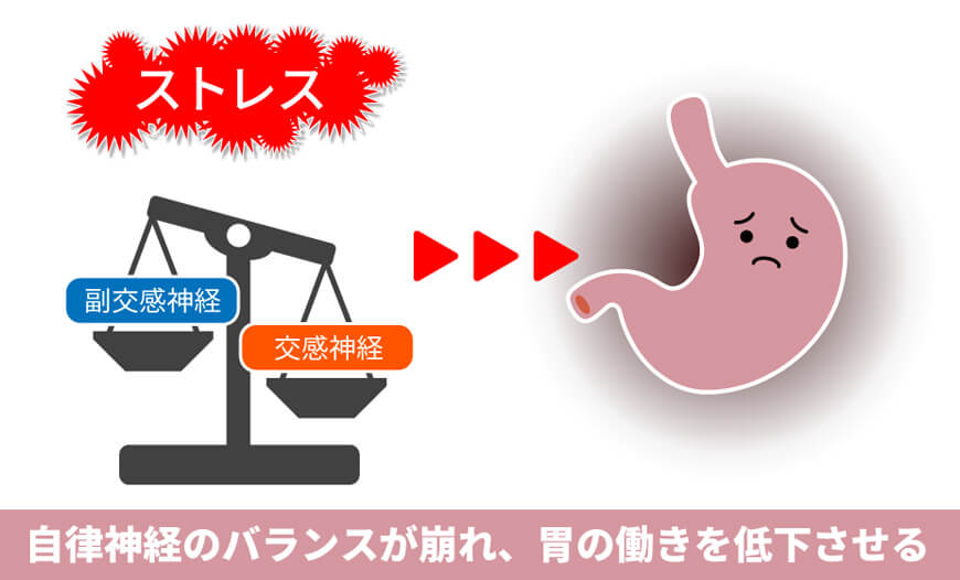 ストレスと胃もたれの関係 －自律神経の乱れが胃腸の働きを低下させる－