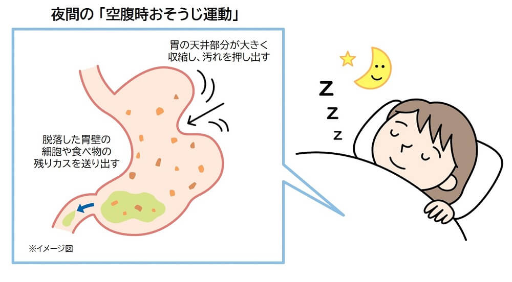 夜間の「空腹時おそうじ運動」
