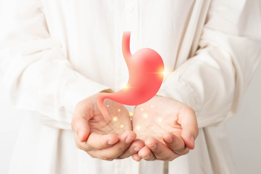 胃腸の病気が疑われる場合は、「消化器内科」へ
