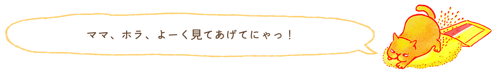 ママ、ホラ、よーく見てあげてにゃっ！