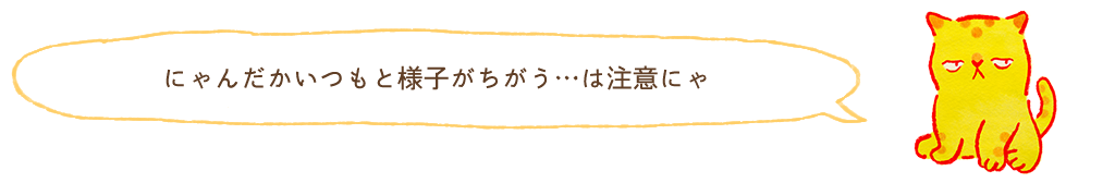 にゃんだかいつもと様子がちがう…は注意にゃ