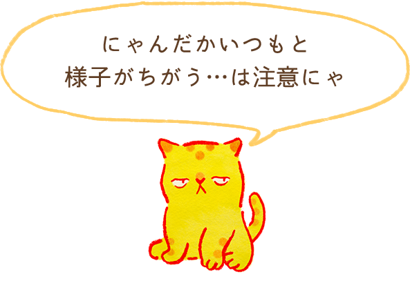 にゃんだかいつもと様子がちがう…は注意にゃ