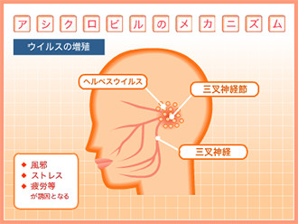 アシクロビルのメカニズム