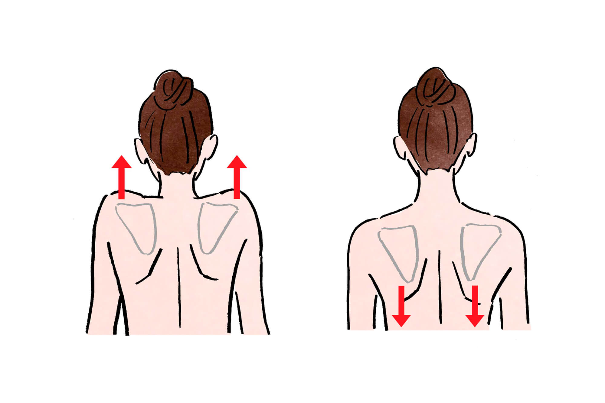 肩甲骨のアップダウン体操