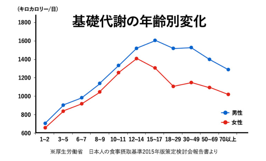 基礎代謝の年齢別変化