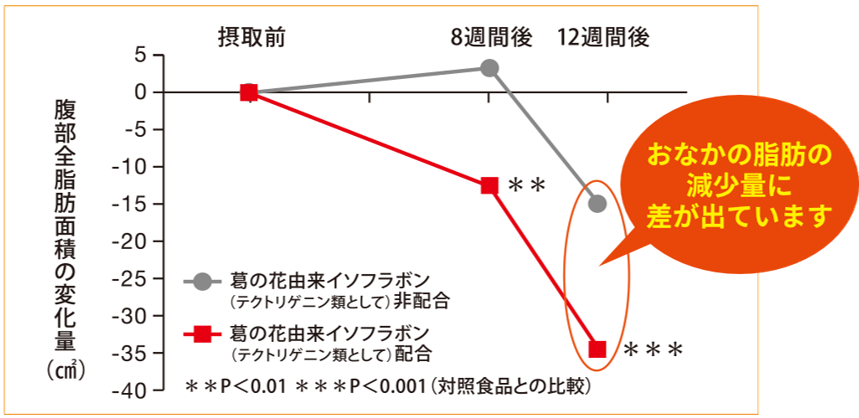 飲み続けて12週間から肥満気味の方のおなかの脂肪が減少！