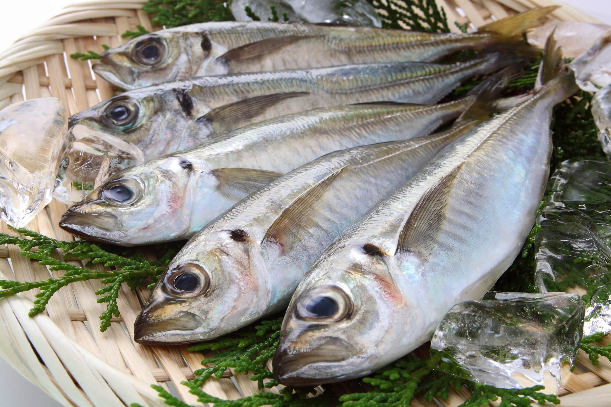 EPAで中性脂肪が減らせる？おすすめ魚レシピ