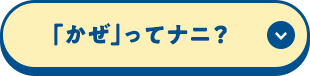 「かぜ」ってナニ？