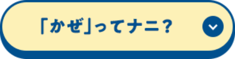 「かぜ」ってナニ？