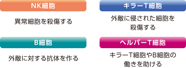 プラズマ乳酸菌が健康な人の 免疫機能をサポートするメカニズム