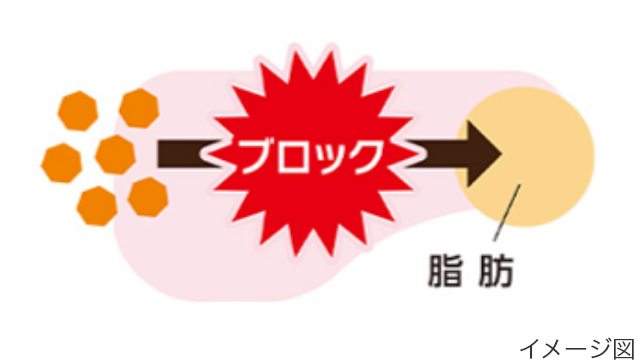脂肪の合成抑制のイメージ図