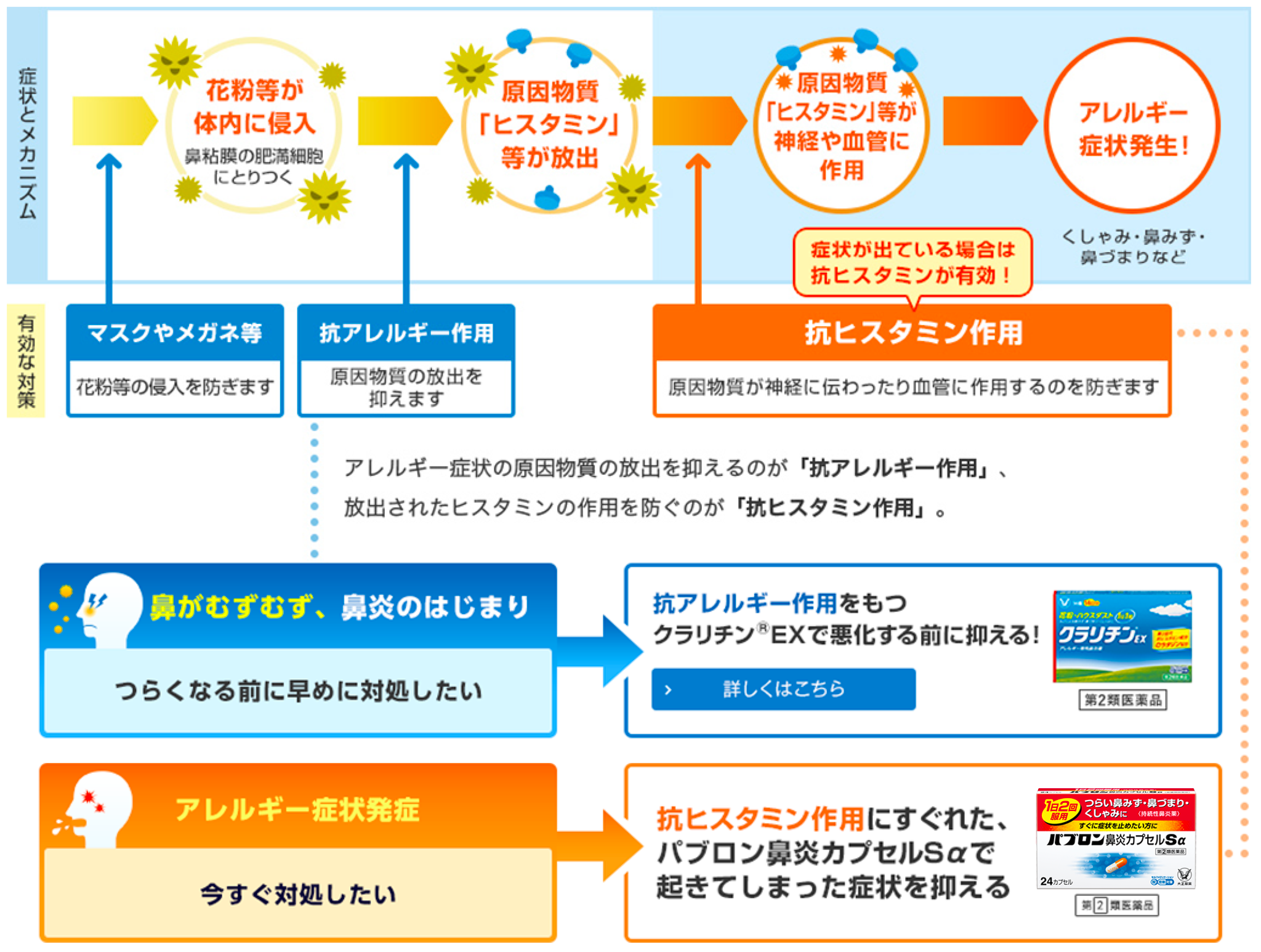 アレルギー症状の発症メカニズムを知ろう！