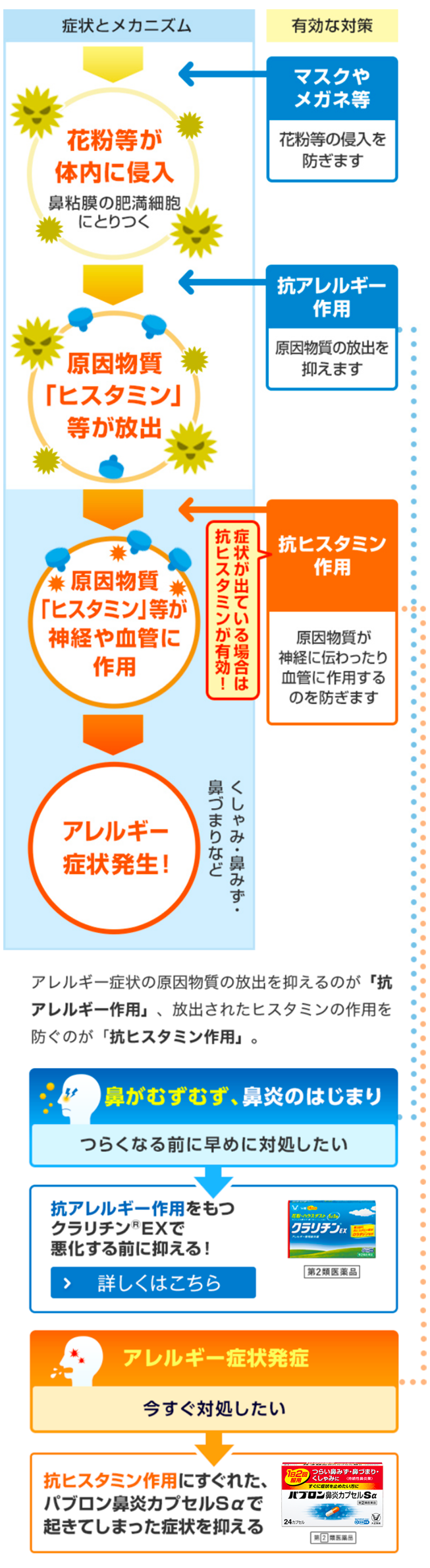 アレルギー症状の発症メカニズムを知ろう！