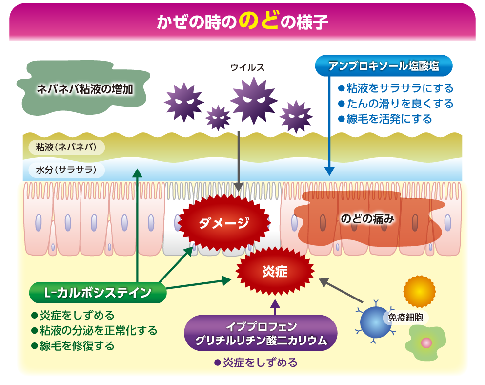 【パブロンセレクト】公式ページ