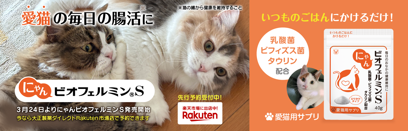 にゃんビオフェルミンS 楽天市場へ遷移するキービジュアル