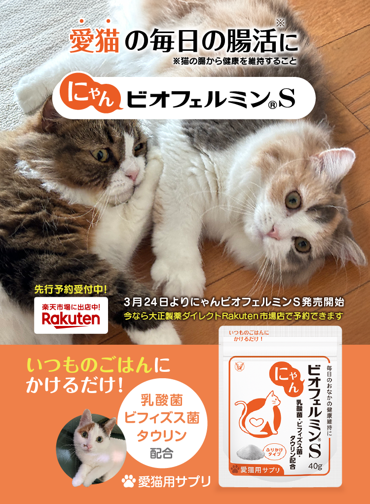 にゃんビオフェルミンS 楽天市場へ遷移するキービジュアル