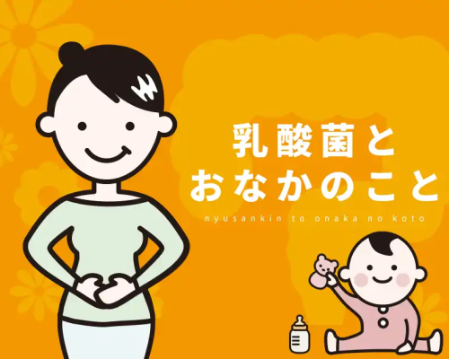 乳酸菌とおなかのこと