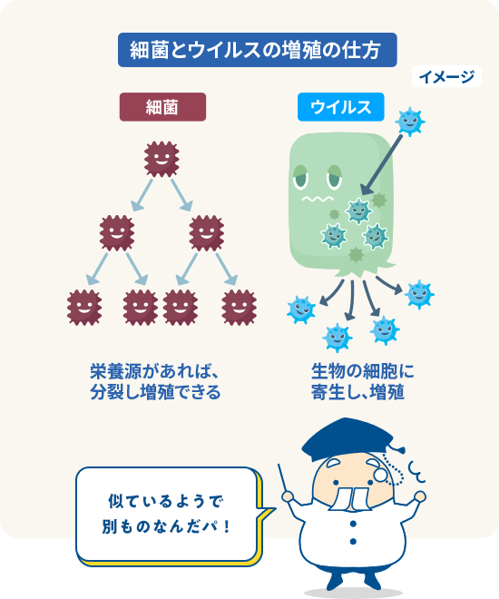 似ているようで別ものなんだパ！