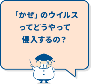 「かぜ」のウイルスってどうやって侵入するの？