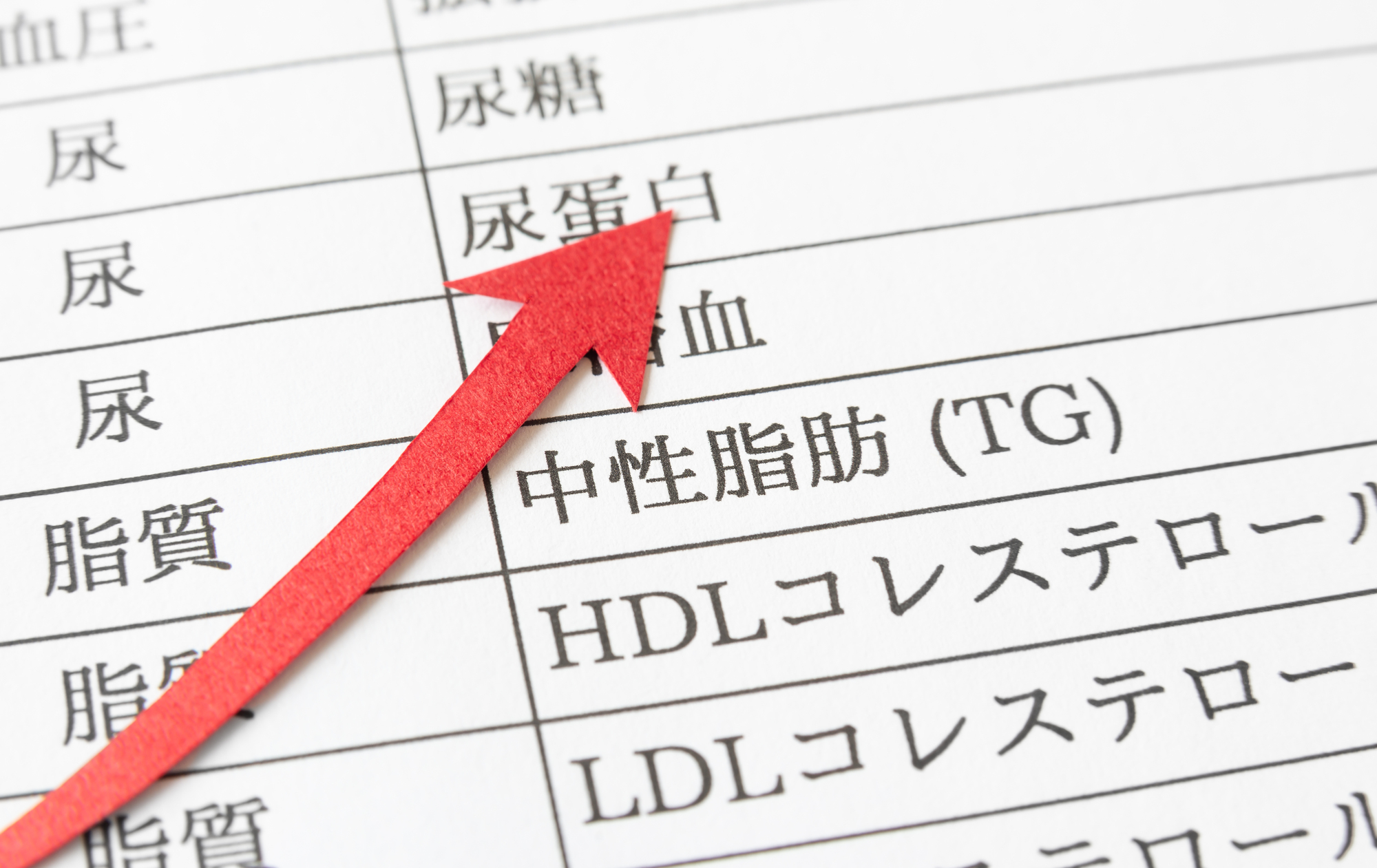 中性脂肪の数値が高いとどうなる？健康に及ぼすリスクや対処法を解説