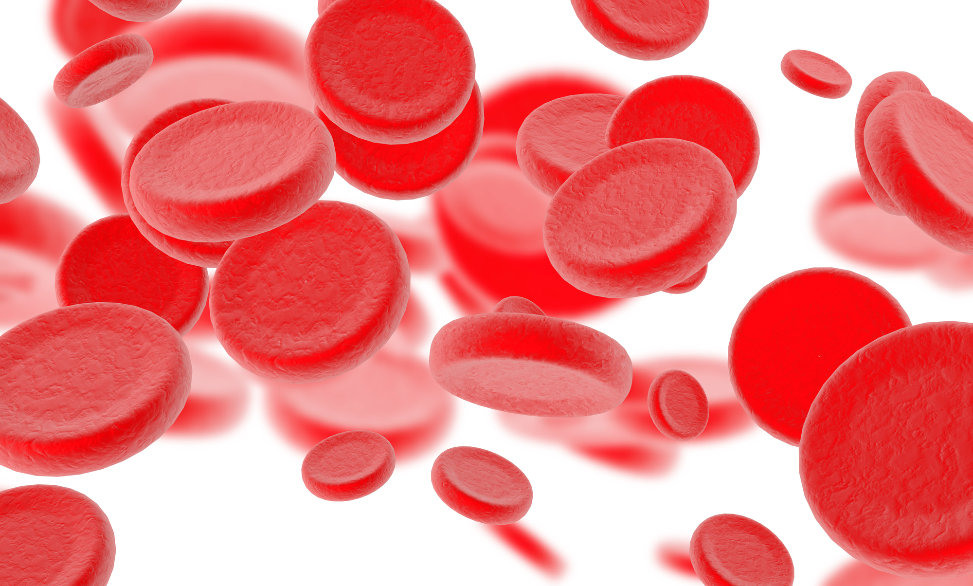 鉄分は赤血球をつくるのに欠かせないミネラル