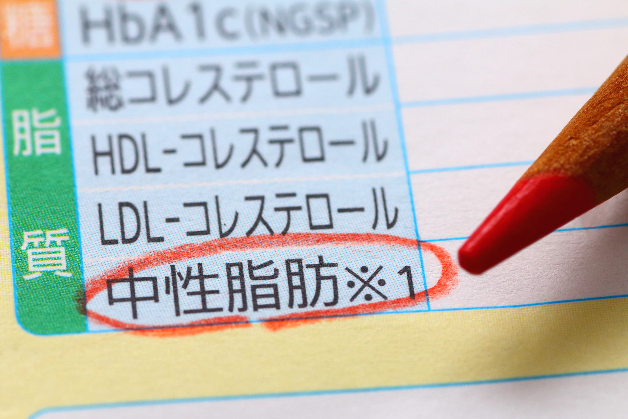 中性脂肪の量の調べ方と基準値は？