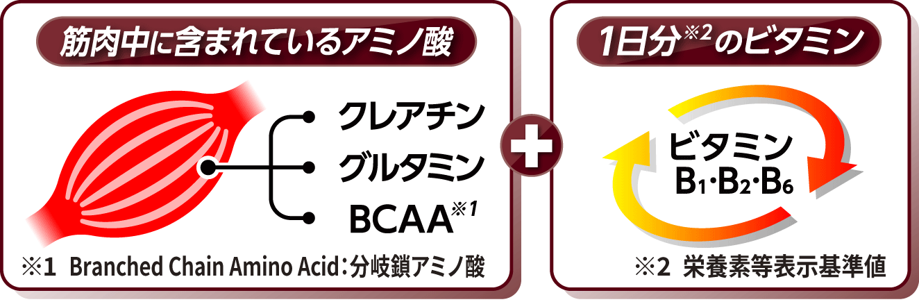 筋肉中に含まれているアミノ酸＋1日分のビタミン