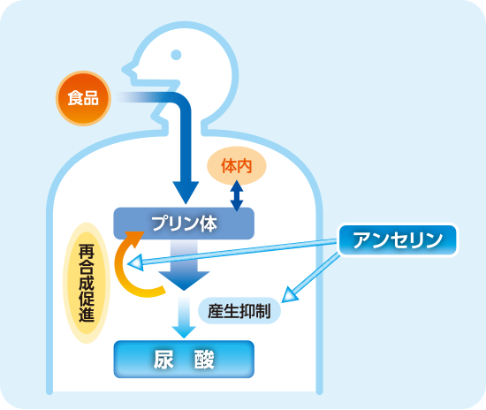 尿酸値が高めの方に プリンケア タブレット｜リビタ生活習慣ケア ...