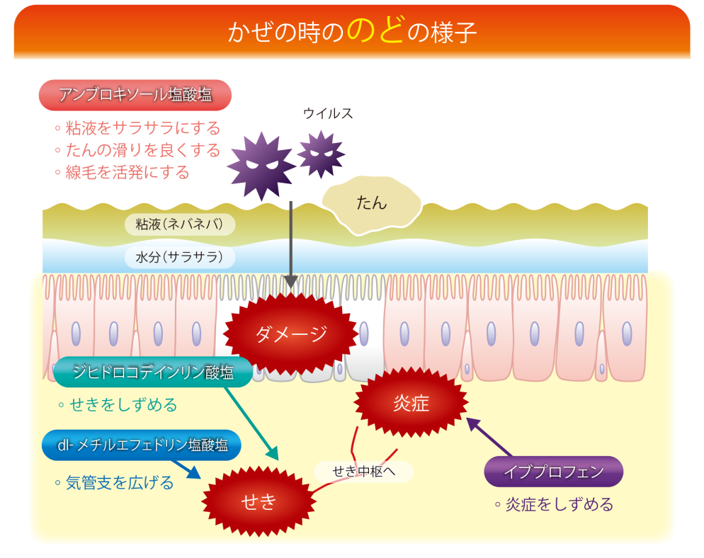 かぜの時ののどの様子の画像