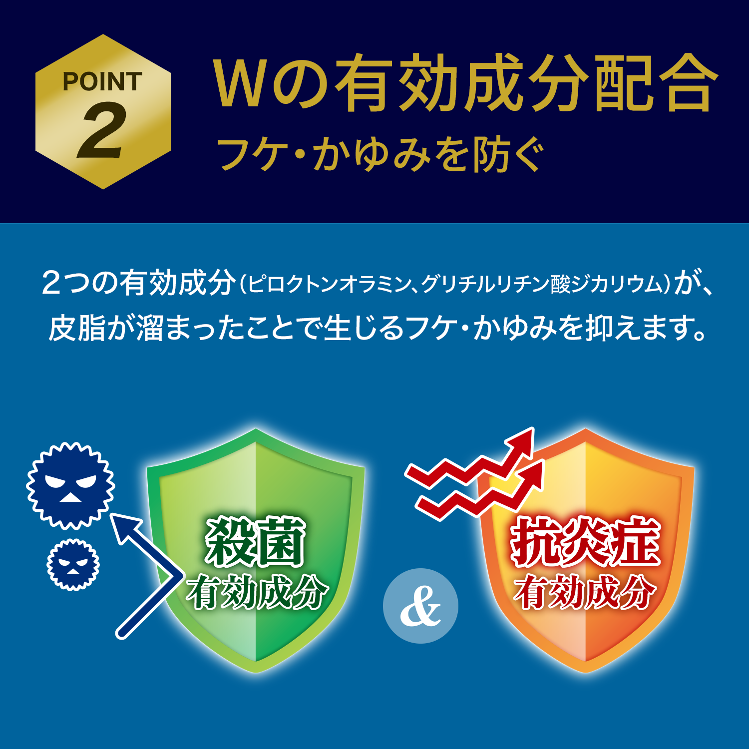 POINT2　Wの有効成分配合　フケ・かゆみを防ぐ