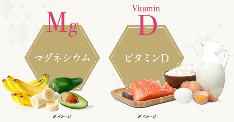 マグネシウム、ビタミンD