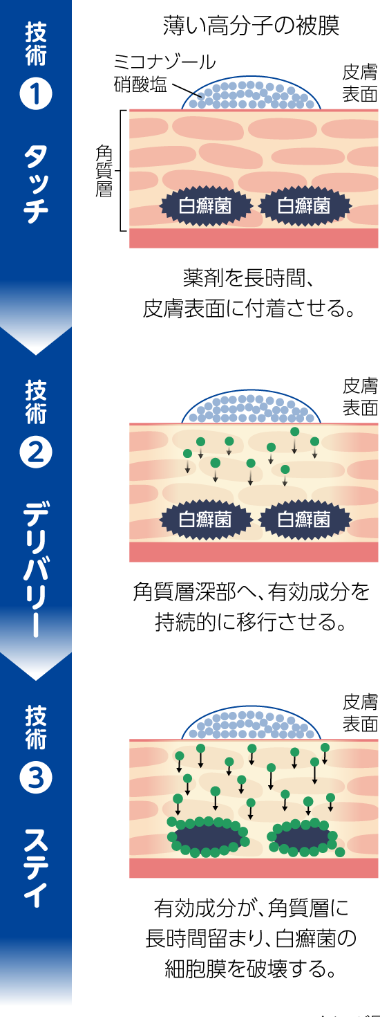 【技術①】タッチ（薬剤を長時間、皮膚表面に付着させる）【技術②】デリバリー（角質層深部へ、有効成分を持続的に移行させる）【技術③】ステイ（有効成分が、角質層に長時間留まり、白癬菌の細胞膜を破壊する）