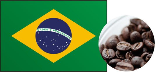 ブラジル産アラビカ種