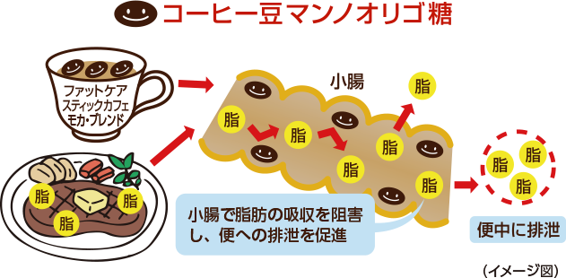 ファットケア　スティックカフェモカ、ブレンド３０袋✕２箱