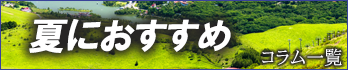 夏におすすめのコラム一覧へ