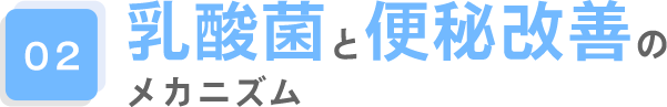 02.乳酸菌と便秘改善のメカニズム