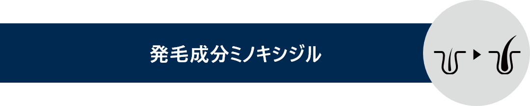 発毛剤ミノキシジルと書かれているタイトル