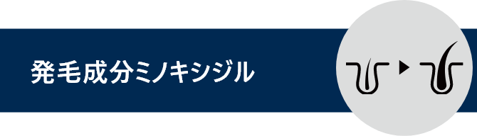 発毛剤ミノキシジルと書かれているタイトル