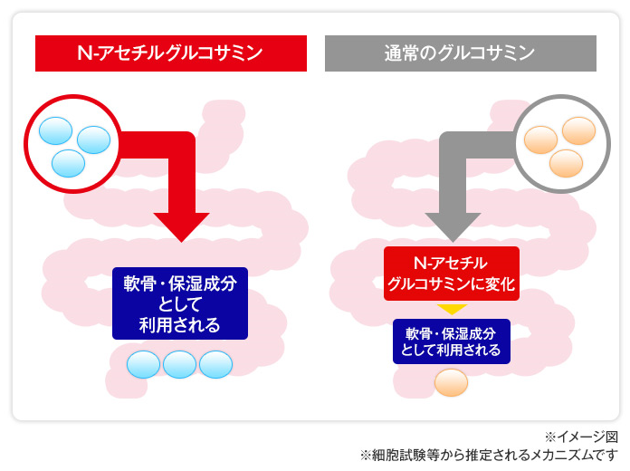 ひざ関節の悩みに効率よく働くグルコサミン