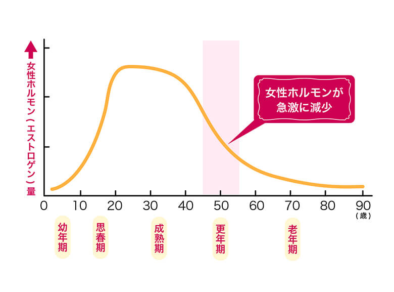 女性ホルモン（エストロゲン）量