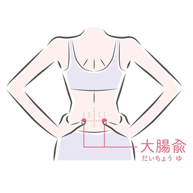 大腸兪（だいちょうゆ）―おなかの働きをたすける