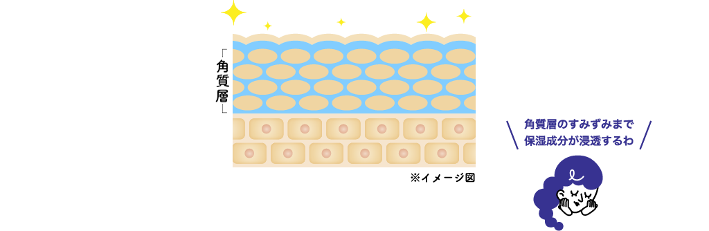ヒアルロン酸がいきわたり、ふっくらうるおいのある肌に。
