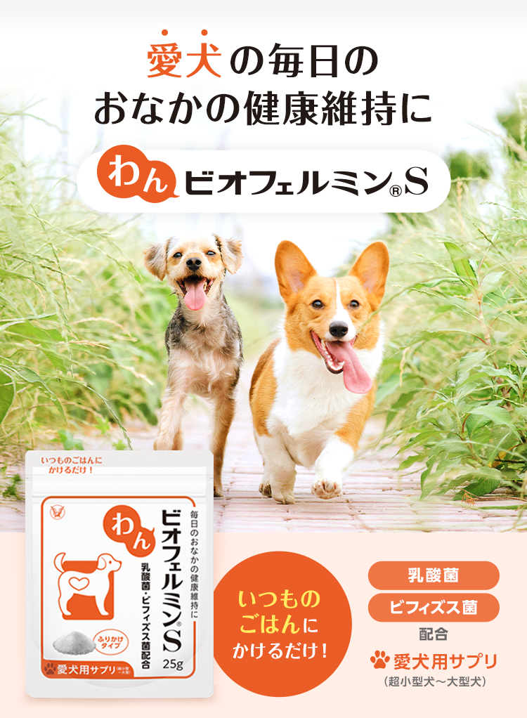 わんビオフェルミンSのキービジュアル。愛犬の毎日のおなかの健康維持に、いつものご飯にかけるだけ。